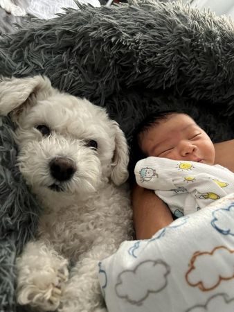 WhatsApp Image 2022-01-15 at 4.59.56 PM